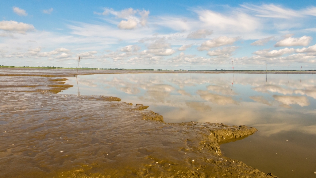 Wattenmeer-1