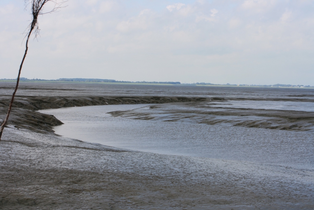 Wattenmeer-11