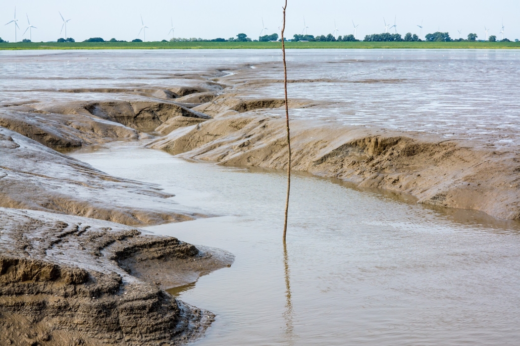Wattenmeer-13
