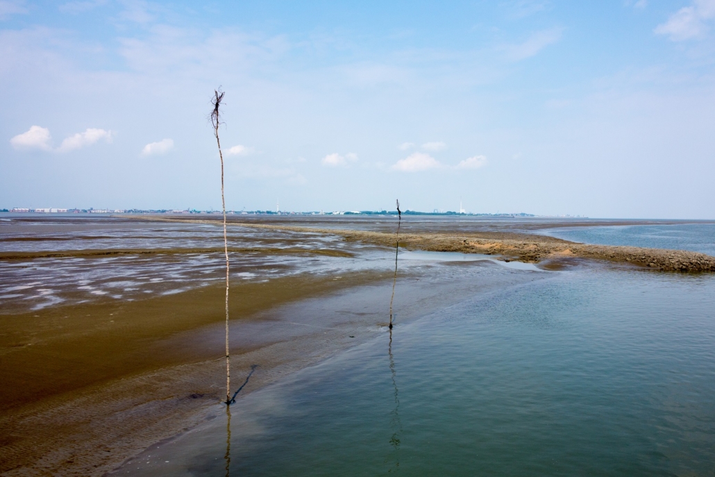 Wattenmeer-14