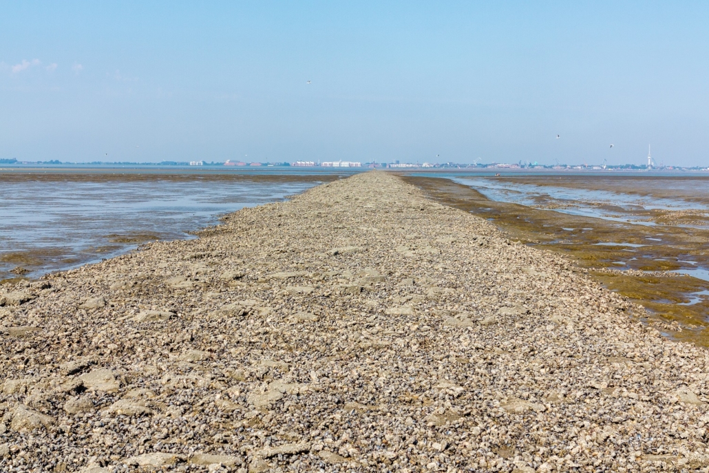 Wattenmeer-21