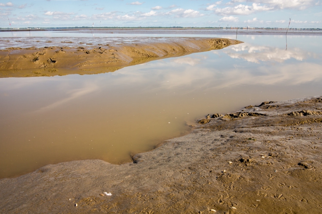 Wattenmeer-28