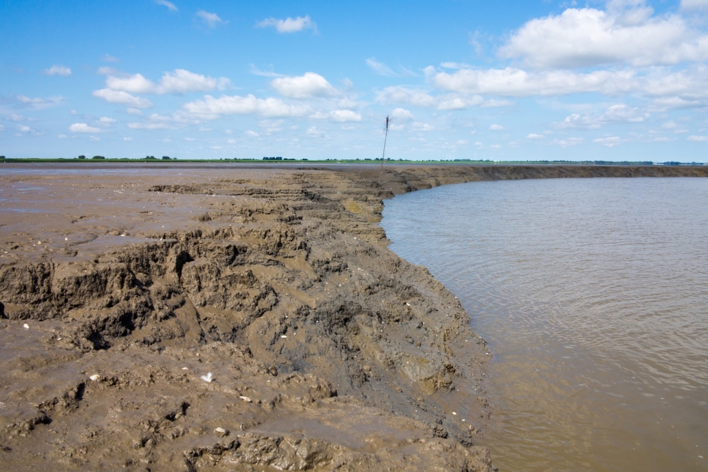 Wattenmeer-31
