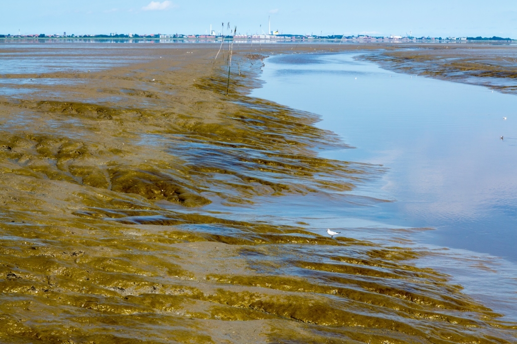 Wattenmeer-34