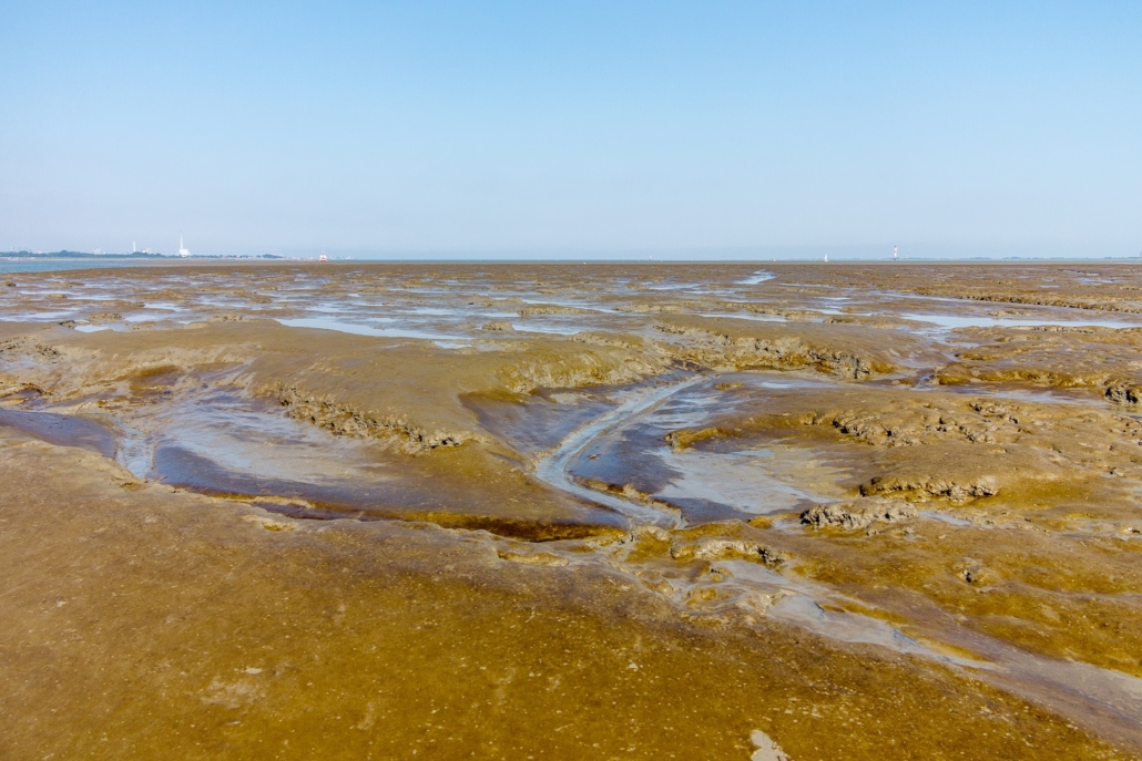 Wattenmeer-36